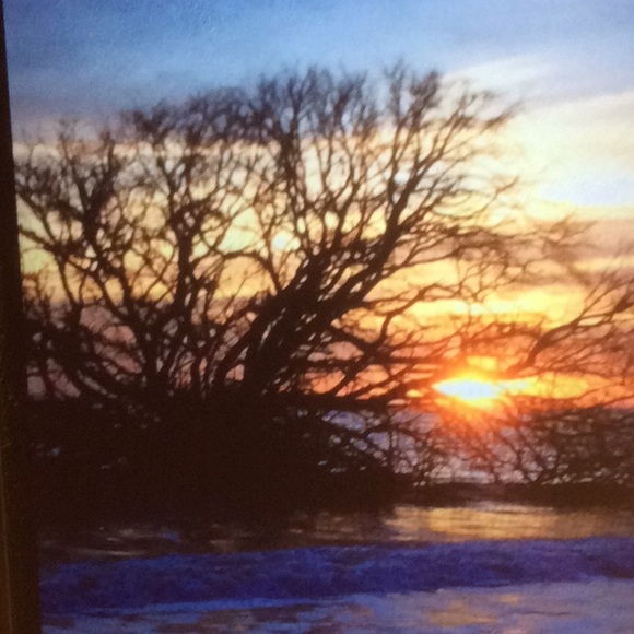 Meet your Posher, Carolyn - Picture 1 of 1